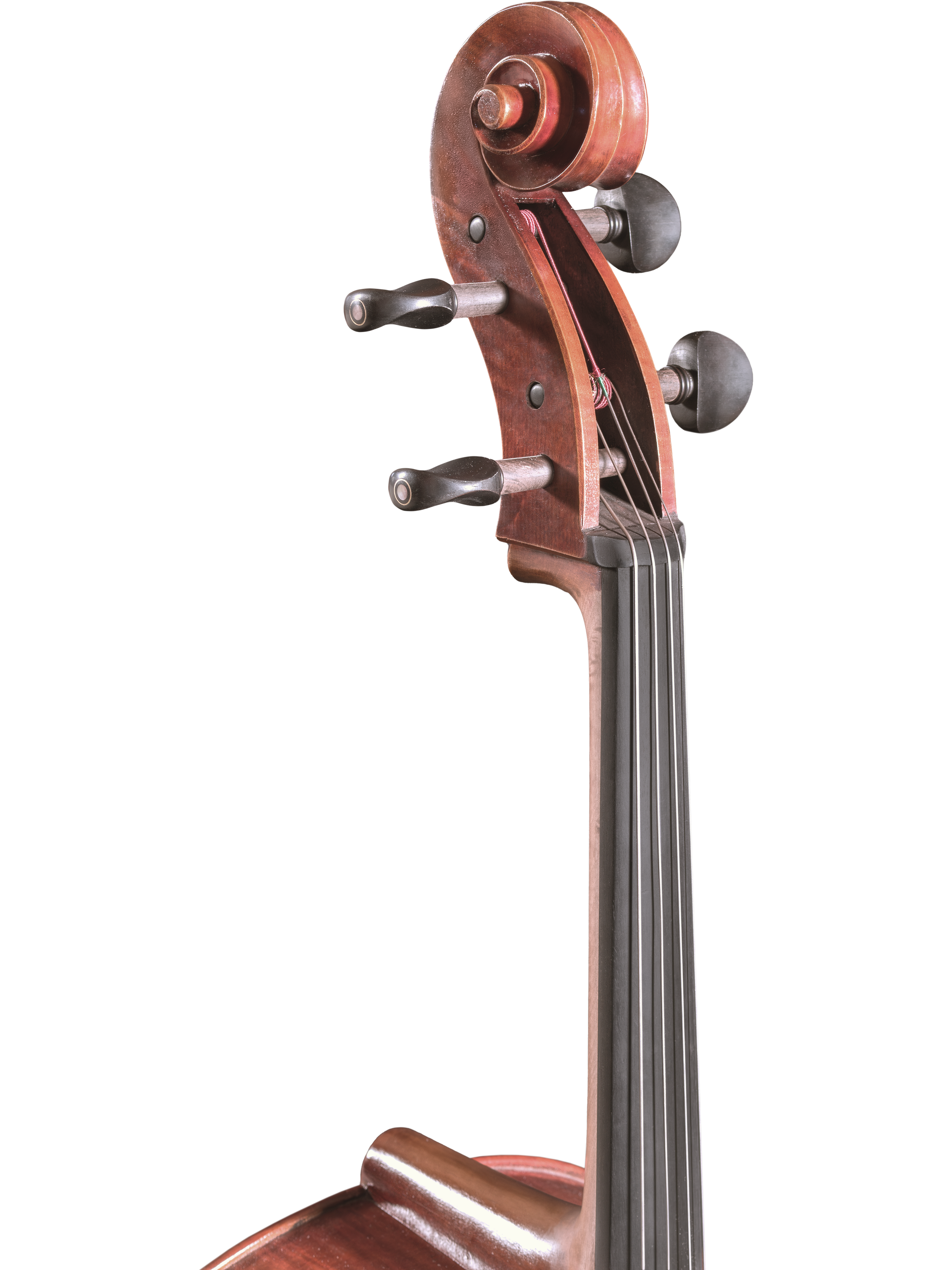 Master Lucienne Cello — Maple Leaf Strings